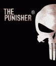 game pic for The Punisher